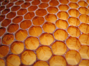 People have started using honeycombs and hex shapes to depict microservices architectures. Who knows why?