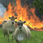 Notes from YOW! 2014: Martin Thompson and Todd L. Montgomery on ‘How Did We End Up Here?’