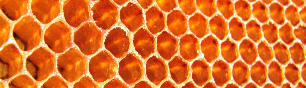 A honeycomb, the international symbol for microservices