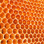 Microservices at Tyro: An Evolutionary Tale (Presentation)