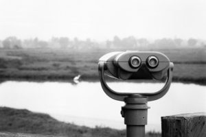 Public binoculars with a small lake just beyond and a foggy, blurred landscape in the background.