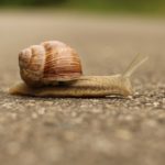 Using Microservices to Solve Slow Build Times